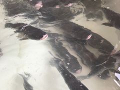 -湘小馆剁椒鱼头(金帝商务大厦店)