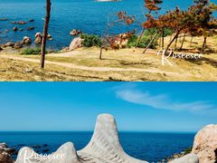 -养马岛旅游度假区