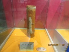 IMG_2856-上海昆虫博物馆