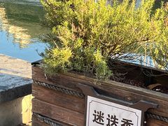 -东梓关景区村庄
