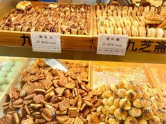 -九芝斋(解放路店)