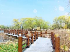 -长兴太湖图影湿地文化园