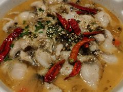 -Aqua Oasis 水天堂(石路天虹店)