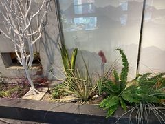 -花间别院(凤凰店)