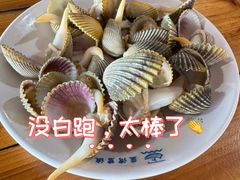 白灼鸡腿螺-蓝湾碧波·老字号·疍家非遗海上餐厅