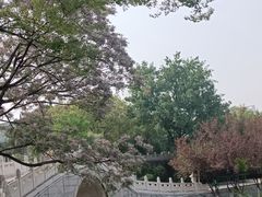 -月湖风景区