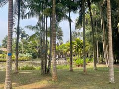-中国科学院西双版纳热带植物园