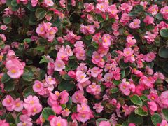 -天津津利华酒店