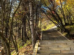 -塔云山