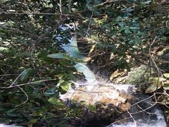 -溪口-滕头旅游景区