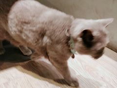 -小时光咖啡馆(开森度假森林店)