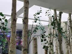 -极简口腔(总院)