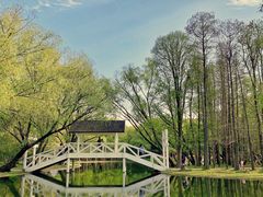 -上海共青森林公园