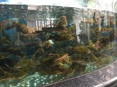 王家渡火锅店(棕榈泉店)-王家渡火锅店(棕榈泉店)