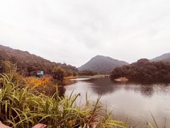 -广州市石门国家森林公园