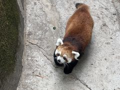 -昆明动物园