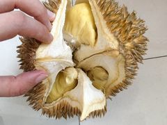 -东方鼎信农副产品交易中心