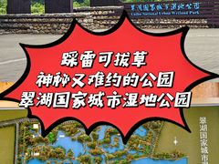 -翠湖国家城市湿地公园