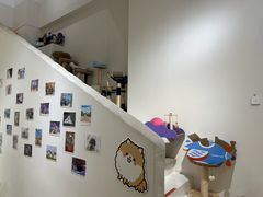 -爱宠屋pet shop·宠物洗澡·宠物美容