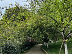 -南山植物园