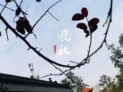 -四川大学(望江校区)