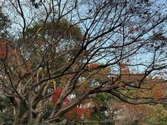 -北山街历史文化街区