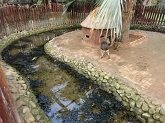 -呀路古热带植物园