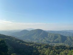 -黄埔油麻山森林公园