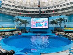 -海合安成都极地海洋公园