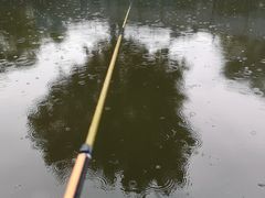 -酷鱼垂钓CLUB(朝阳区博大路店 )