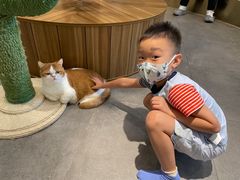 -飞行喵MR PILOT|猫舍·猫咖(静安大融城店)