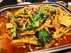重庆三江烤鱼-重庆三江烤鱼(红花南路店)