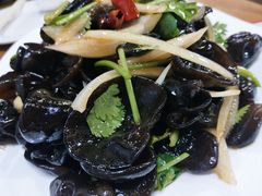 凉拌木耳-王胖子驴肉火烧(鼓楼店)