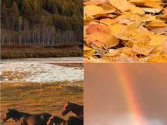 -莫尔道嘎国家森林公园