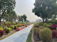 -春花秋色城市公园