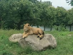 -西安秦岭野生动物园