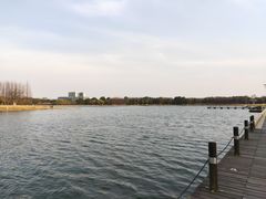 -白塘生态植物园