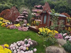 -杭州植物园