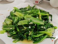 -煲来饱去冷水鱼