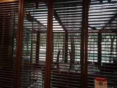 -东方明珠老上海8号餐厅(东方明珠广播电视塔店)