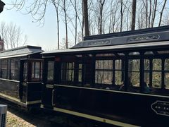 -合肥滨湖国家森林公园