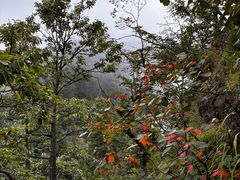 -塔云山