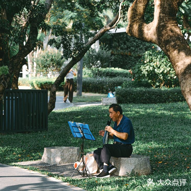 扫街日记📸•深圳蛇口人的青春| 四海公园💚