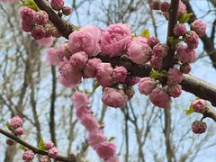 -朝阳公园