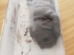 -爱上花开·蛋糕·安佳动物奶油轻奢私人定制(凯德店)
