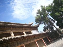 -张掖大佛寺景区