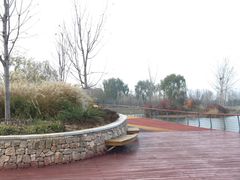 -东郊湿地公园