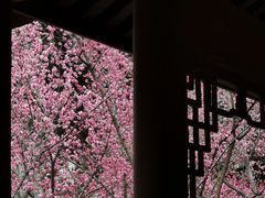 -望江楼公园