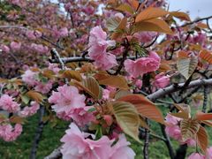 -上海市龙华烈士陵园