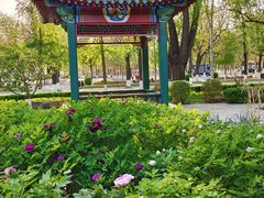 -中国农业博物馆